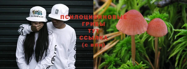 jwh Белокуриха