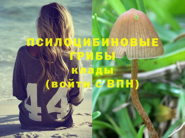 гидропоника Белоозёрский