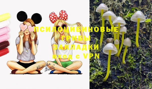 jwh Белокуриха