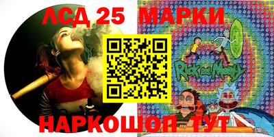 индика Можга