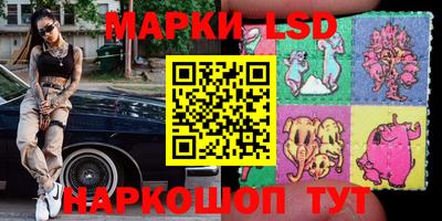 индика Можга