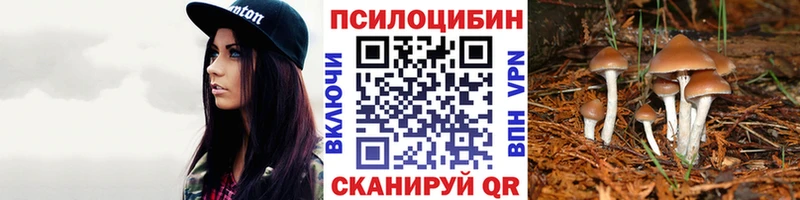 Галлюциногенные грибы Psilocybine cubensis  купить наркоту  Гулькевичи 