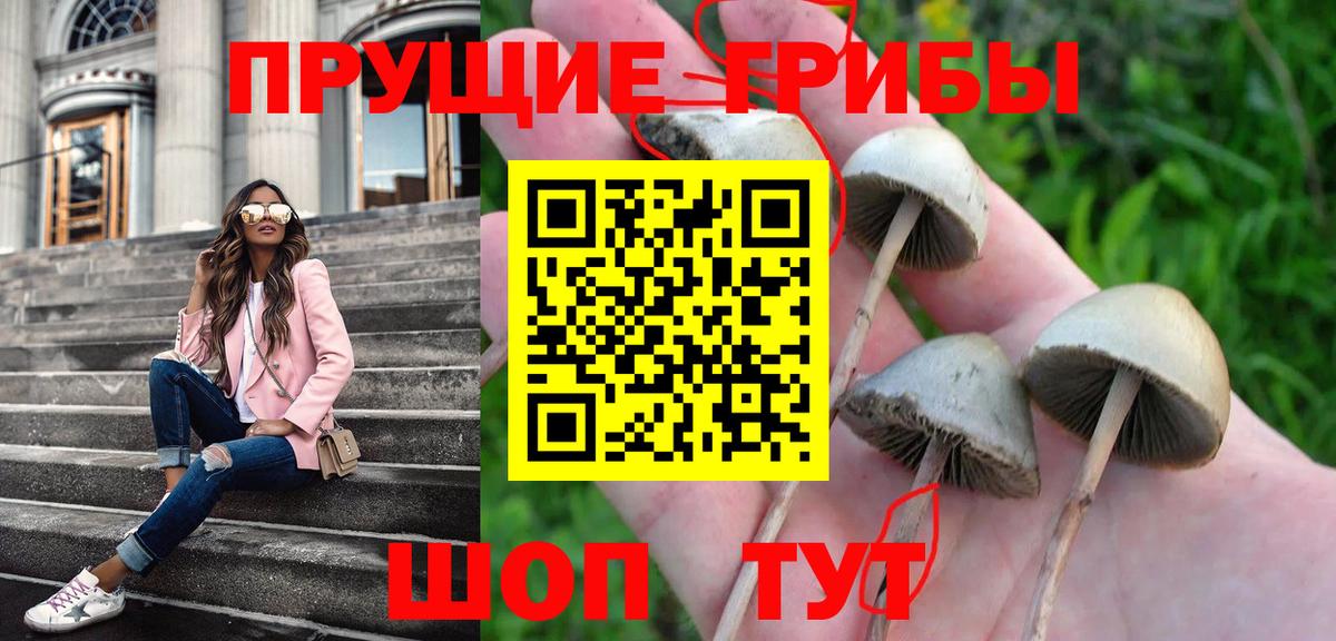 Псилоцибиновые грибы MAGIC MUSHROOMS  Галлюциногенные грибы Psilocybine cubensis  Гулькевичи  Вход с VPN 